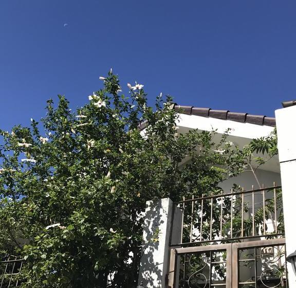 הוסטל The Nest @ Cebu