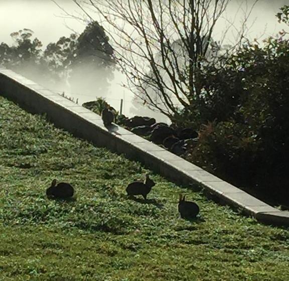 住宿加早餐 Atina Rocks Country Homestead