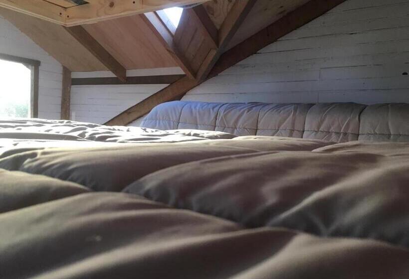 تختخواب و صبحانه Hostal Climb House