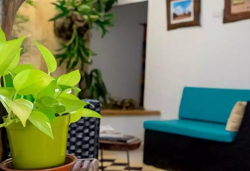 ホテル Iraka Zenu