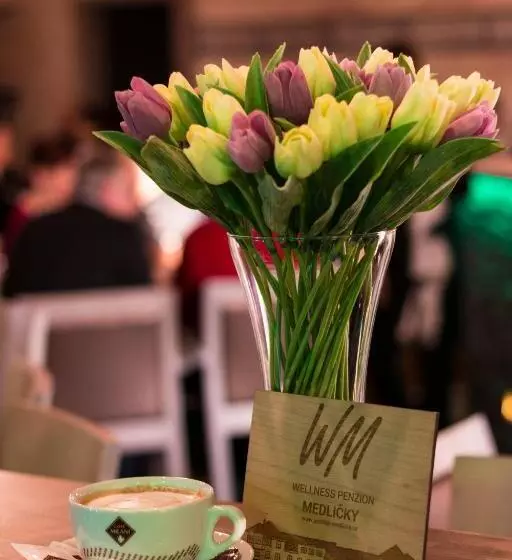 Lomakeskus Wellness Penzion Medličky