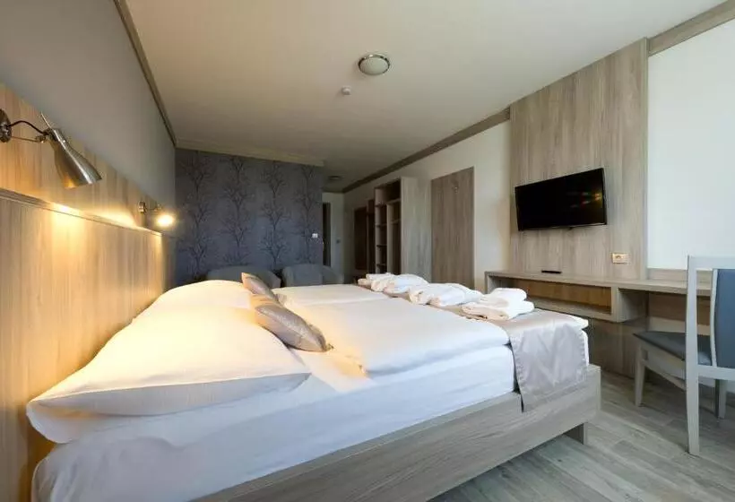 Lomakeskus Wellness Penzion Medličky