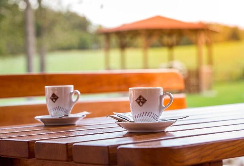 Курорт Wellness Penzion Medličky