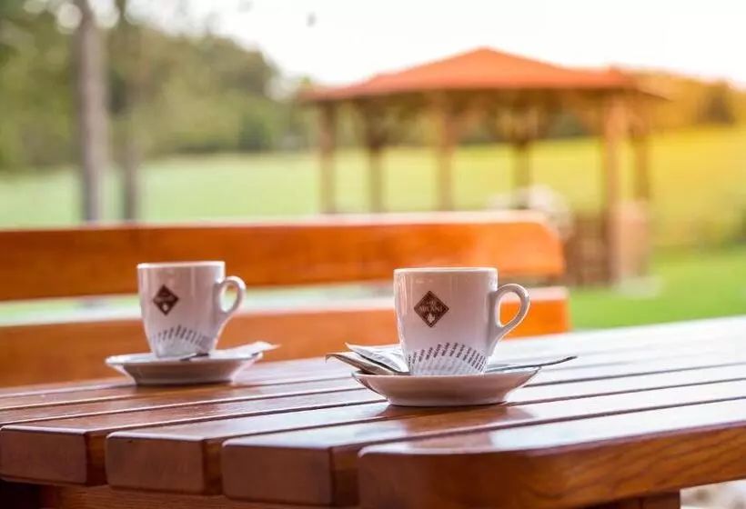 Lomakeskus Wellness Penzion Medličky