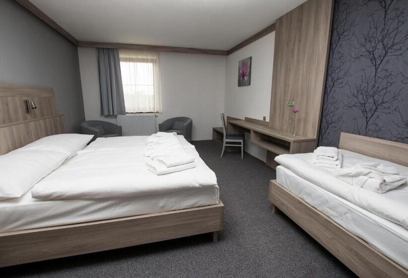 Курорт Wellness Penzion Medličky