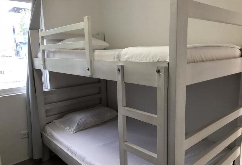 Sashii Hostel & Boutique