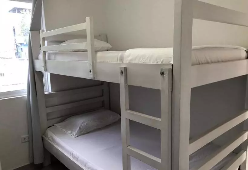 Sashii Hostel & Boutique