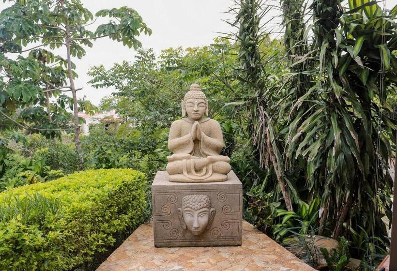 Vida Mountain Resort & Spa Adults Only