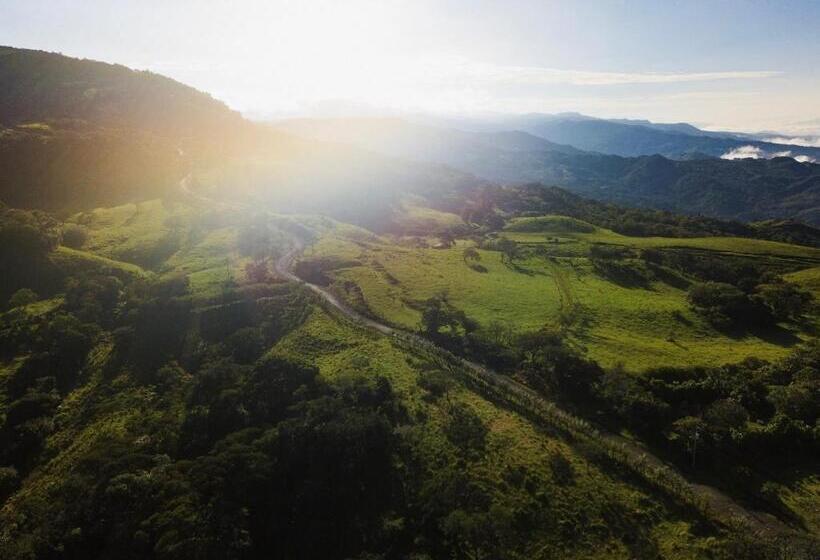 Vida Mountain Resort & Spa Adults Only