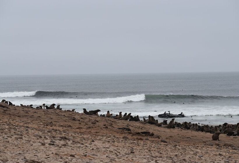 هاستل Salty Jackal Surf Camp