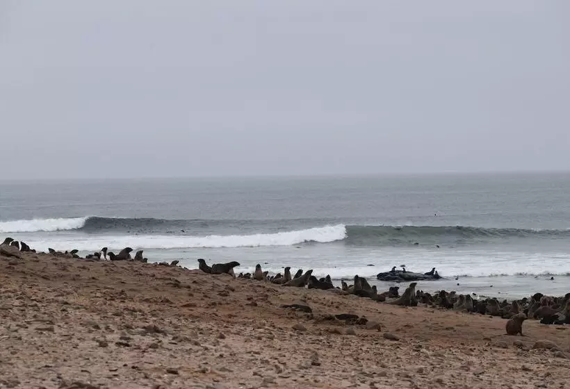 هاستل Salty Jackal Surf Camp