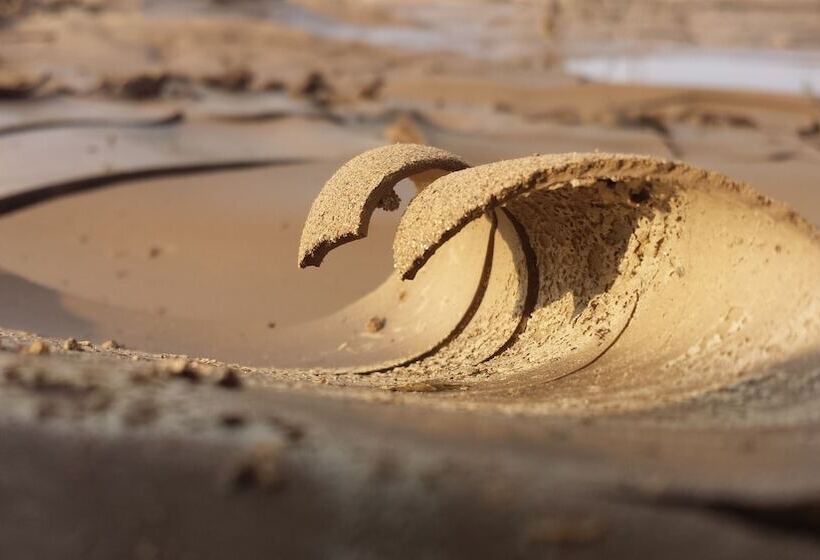 هاستل Salty Jackal Surf Camp