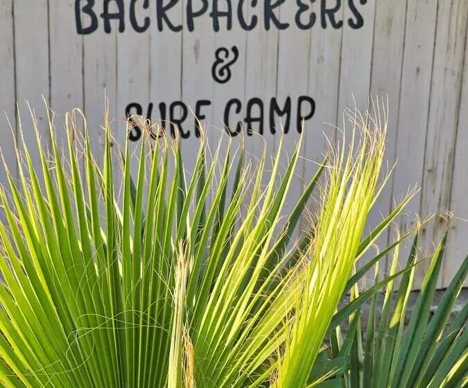 هاستل Salty Jackal Surf Camp