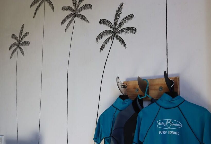 هاستل Salty Jackal Surf Camp