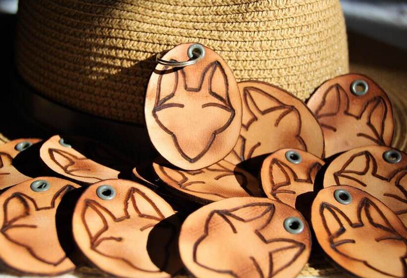 هاستل Salty Jackal Surf Camp