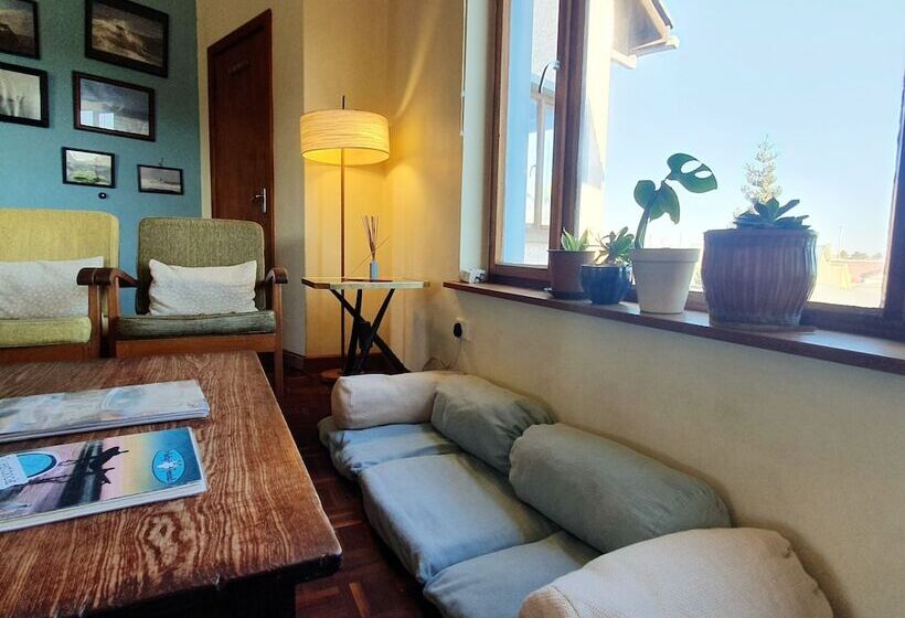 هاستل Salty Jackal Surf Camp