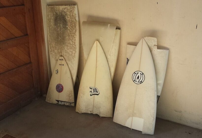 هاستل Salty Jackal Surf Camp