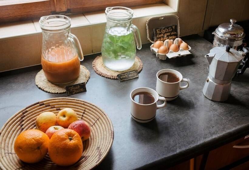 هاستل Salty Jackal Surf Camp