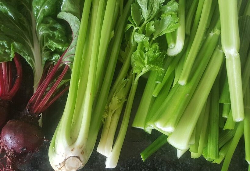 هاستل Salty Jackal Surf Camp