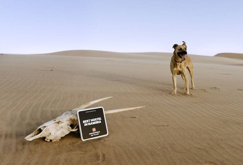 هاستل Salty Jackal Surf Camp