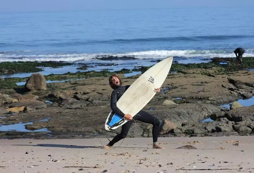هاستل Salty Jackal Surf Camp