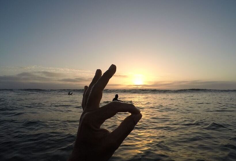 هاستل Salty Jackal Surf Camp