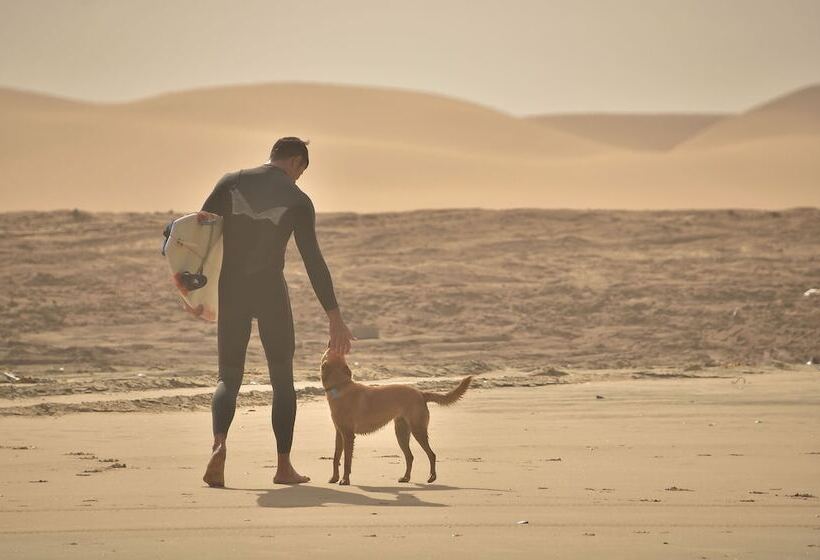 هاستل Salty Jackal Surf Camp