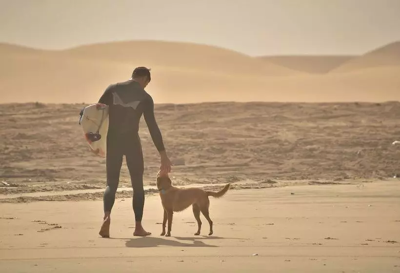 هاستل Salty Jackal Surf Camp