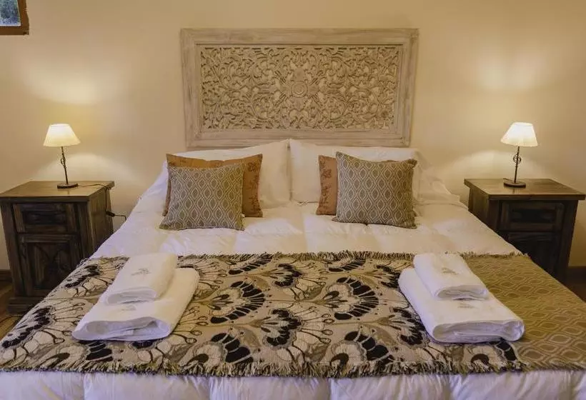 تختخواب و صبحانه Alehue Casa De Montaña