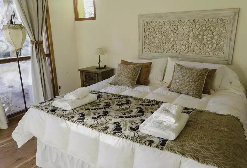تختخواب و صبحانه Alehue Casa De Montaña