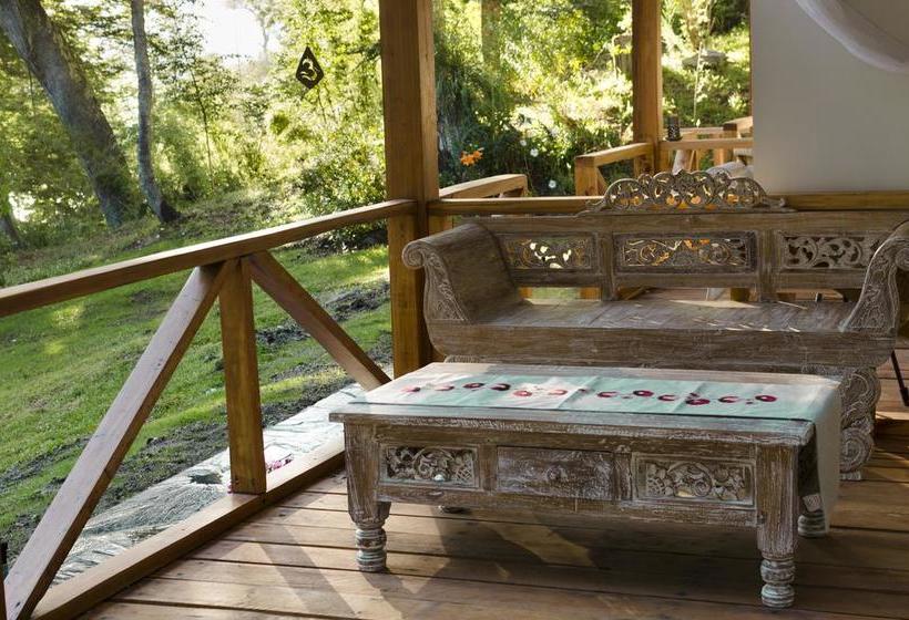 Bed & Breakfast Alehue Casa De Montaña