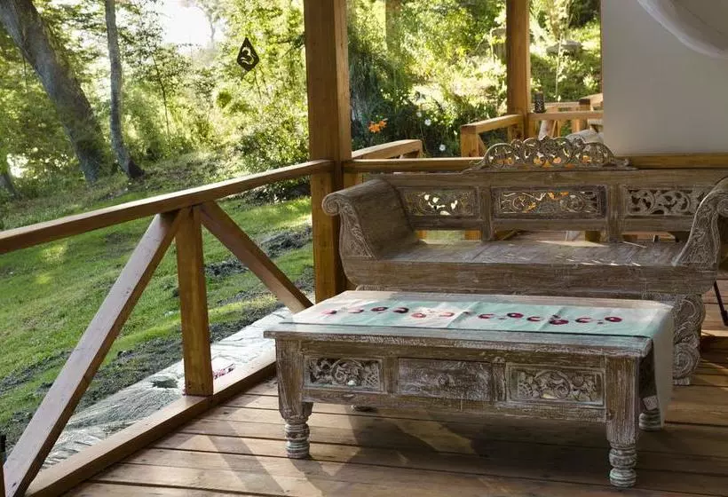 تختخواب و صبحانه Alehue Casa De Montaña