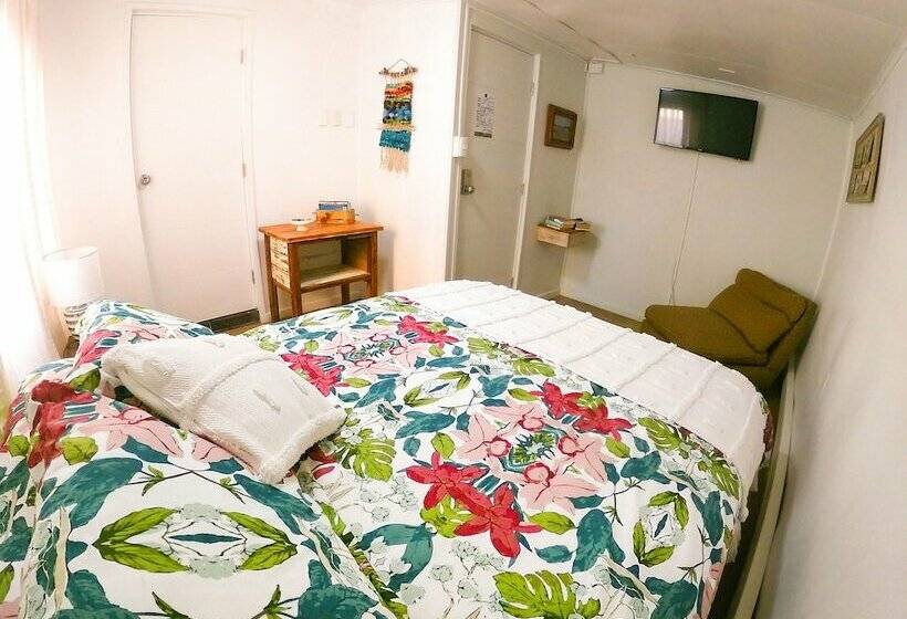 تختخواب و صبحانه Green Hostel