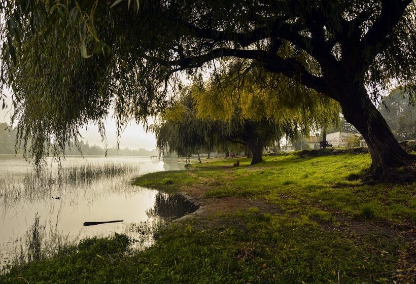 تختخواب و صبحانه Green Hostel