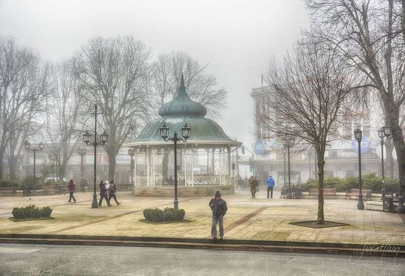 تختخواب و صبحانه Green Hostel