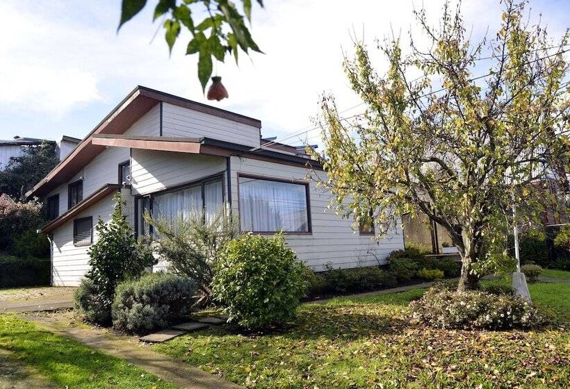 تختخواب و صبحانه Green Hostel