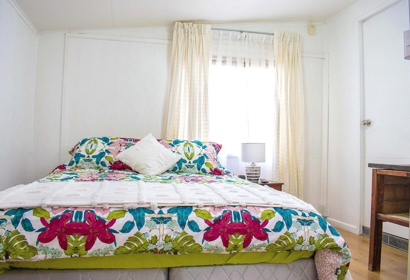 تختخواب و صبحانه Green Hostel