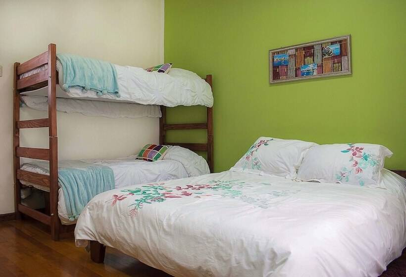 تختخواب و صبحانه Green Hostel