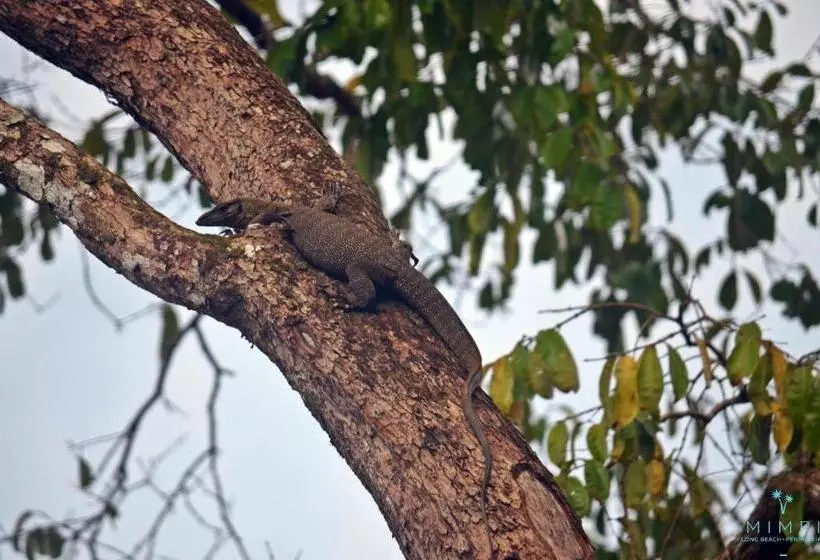 Lomakeskus Mimpi Perhentian