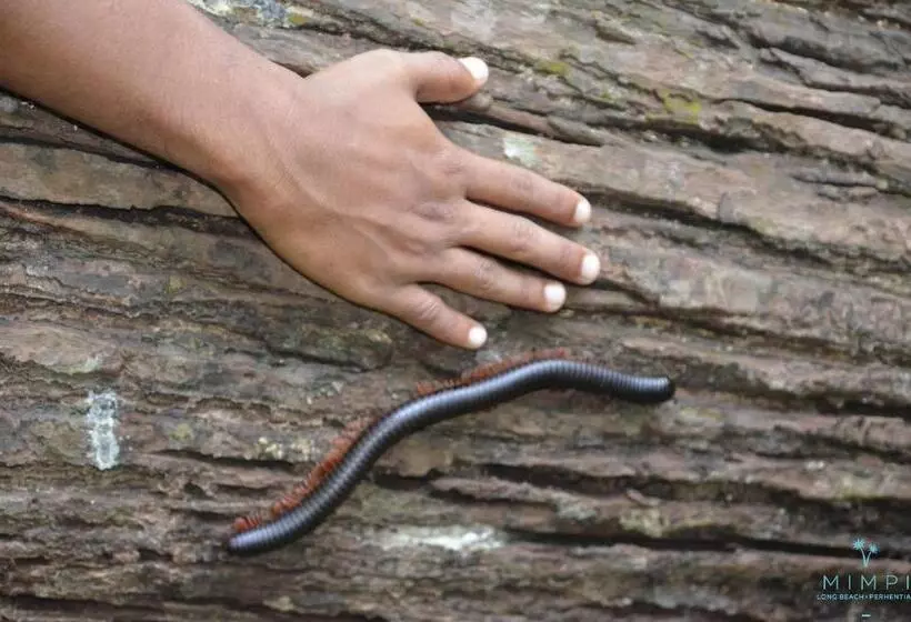 Lomakeskus Mimpi Perhentian