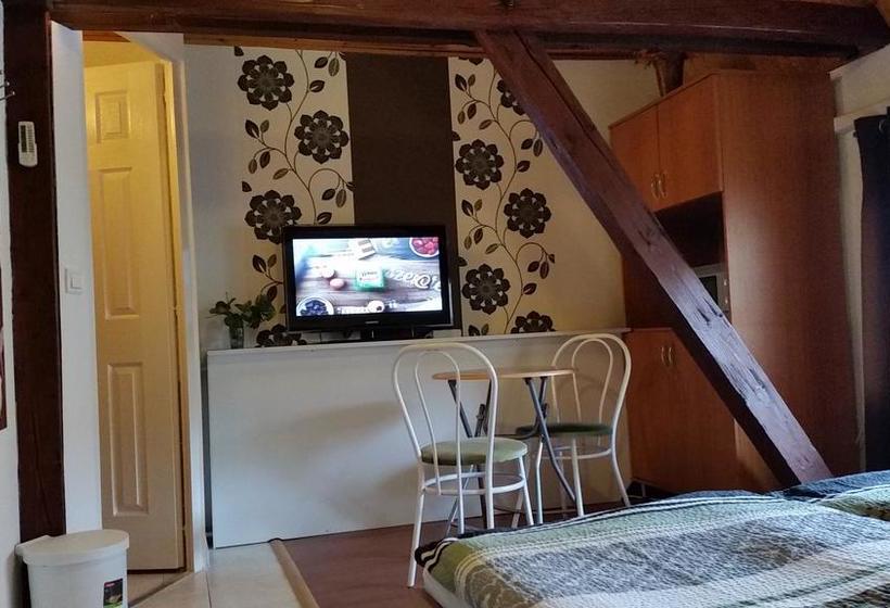 مبيت وإفطار Central Panzió Gyula