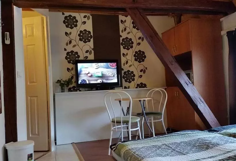 ベッドアンドブレックファースト Central Panzió Gyula