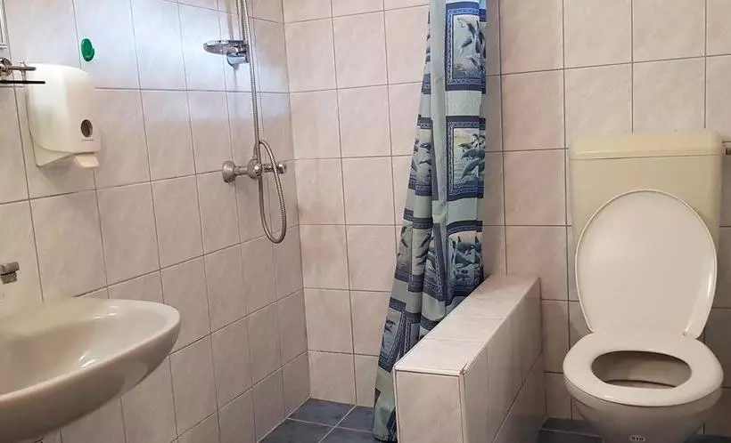 ベッドアンドブレックファースト Central Panzió Gyula