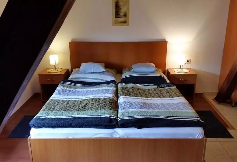 ベッドアンドブレックファースト Central Panzió Gyula