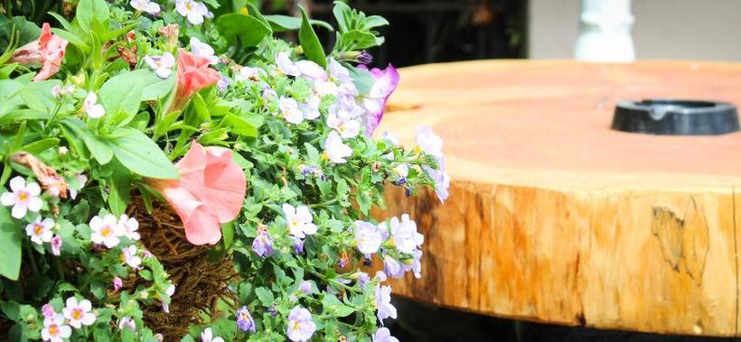 צימר The Enniskerry Inn