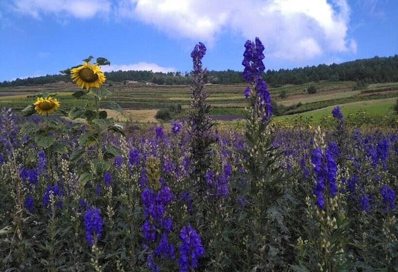 Курорт Tsingpu Lijiang Baisha Retreat