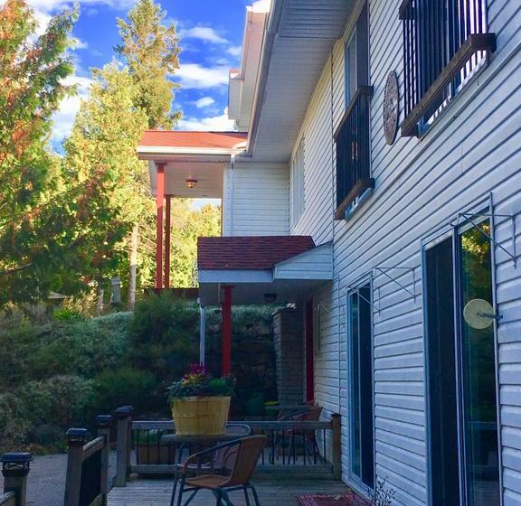 The Forest House B&b