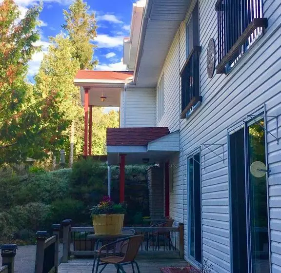 The Forest House B&b