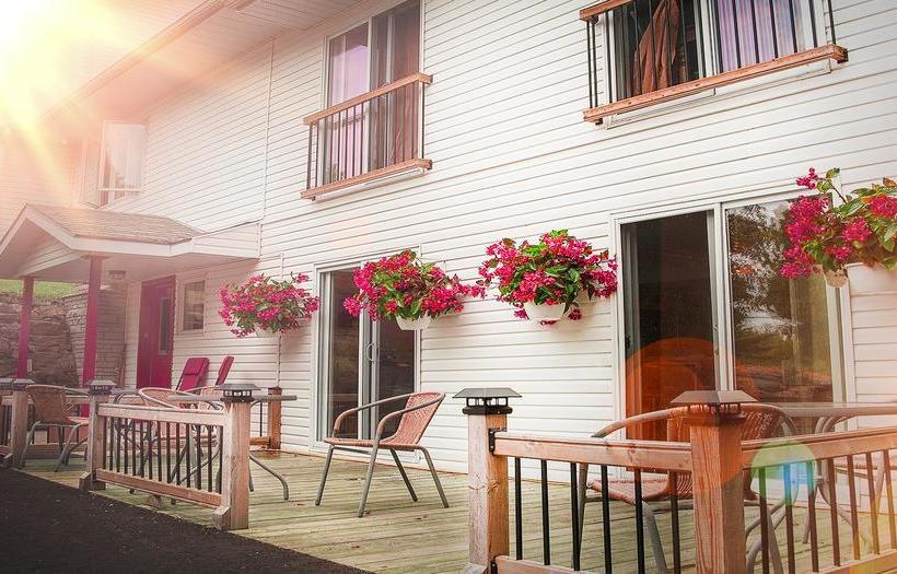 The Forest House B&b