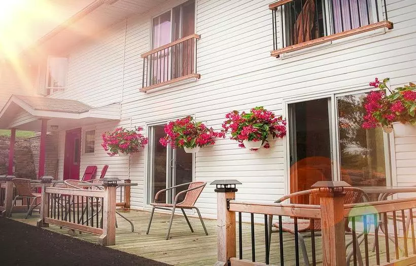 The Forest House B&b